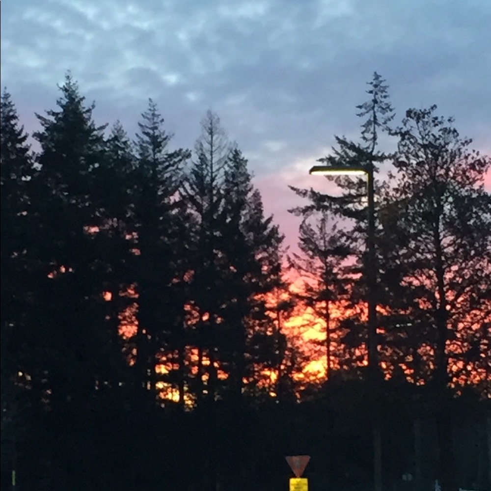 Meet your Posher, Shawna